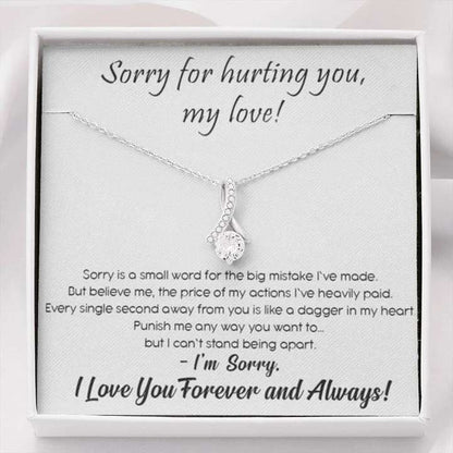 Best Sorry Gift For Her - Pure Silver Pendant & Message Card | Combo Gift Box For Karwa Chauth Rakva