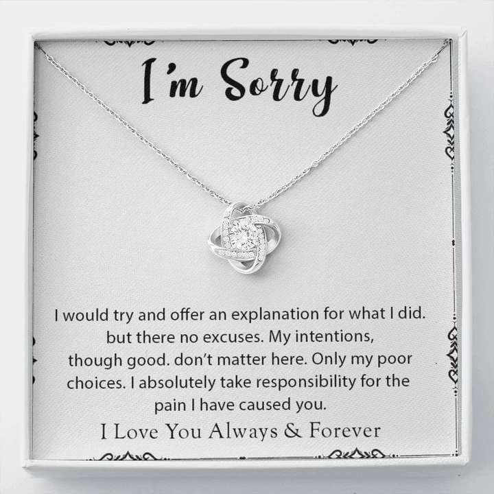 Heart Touching Sorry Gift For Her - 925 Sterling Silver Pendant Gifts For Friend Rakva