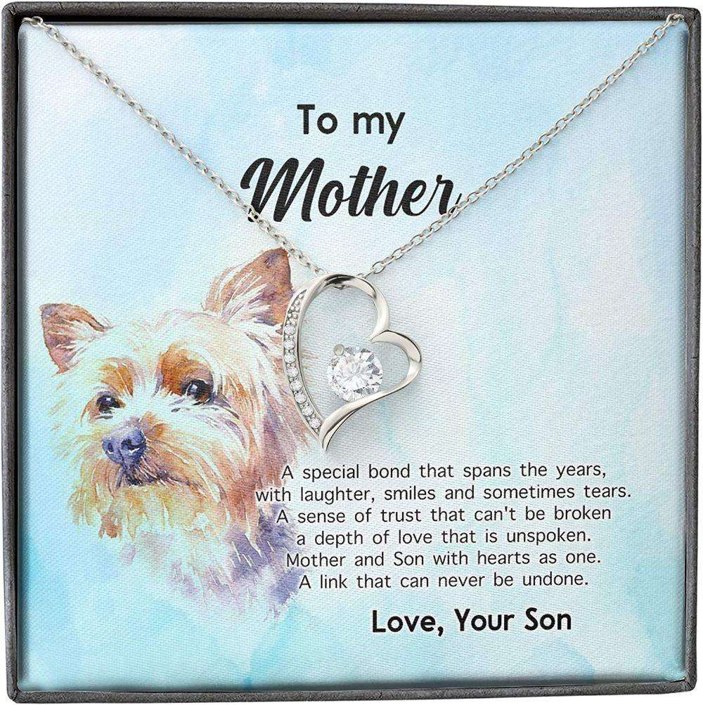 Mom Necklace, Mother Son Necklace, Presents For Mom Gifts, Special Bond Trust Love Dog Gifts for Mother (Mom) Rakva