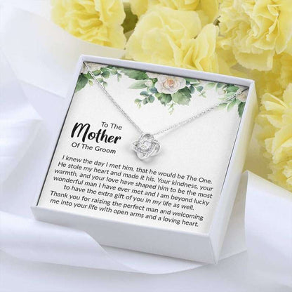 Mother-In-Law Necklace, Mother In Law Wedding Gift From Bride, Mother Of The Groom Necklace, Future Mother In Law Gift, Gift For Mother-In-Law V1 Gifts for Mother In Law Rakva