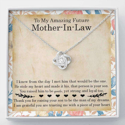 Mother-In-Law Necklace, To My Amazing Future Mother-In-Law Gift Necklace, Gift For Future Mother-In-Law Gifts for Daughter-In-Law Rakva