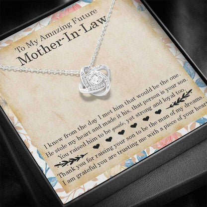 Mother-In-Law Necklace, To My Amazing Future Mother-In-Law Gift Necklace, Gift For Future Mother-In-Law Gifts for Daughter-In-Law Rakva