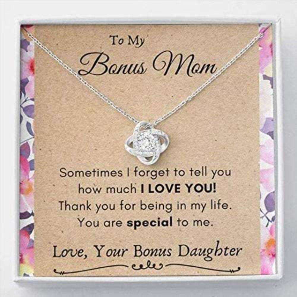 Stepmom Necklace, To My Bonus Mom Necklace, Gift For Step Mother From Bride “ You Are Special To Me Gifts for Mother (Mom) Rakva