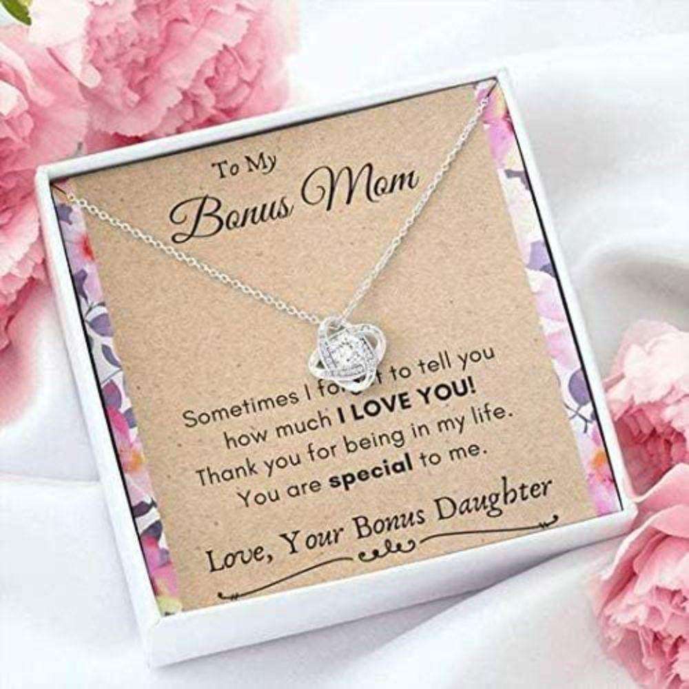 Stepmom Necklace, To My Bonus Mom Necklace, Gift For Step Mother From Bride “ You Are Special To Me Gifts for Mother (Mom) Rakva